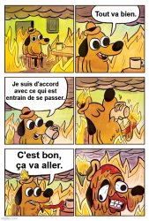 This is fine french version Meme Template