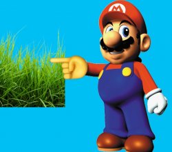 Mario touching grass Meme Template