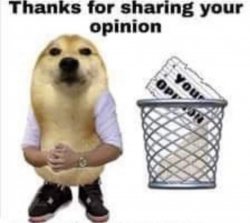 Thanks for your opinion Meme Template