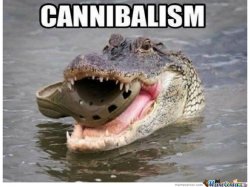 Cannibalism crocodile Meme Template