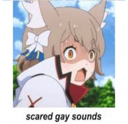 scared gay sounds Meme Template