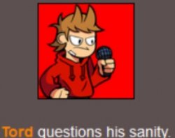 Tord questions his sanity Meme Template