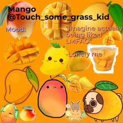 Mango's temp bc bored Meme Template