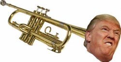 Donald Trumpet Meme Template