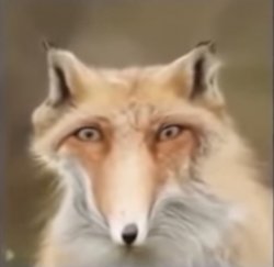 Surprised fox Meme Template