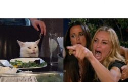 Karen pissed at Catturd Meme Template