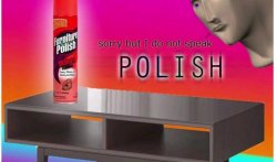 I do not speak polish Meme Template