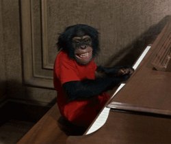 monkey playing piano Meme Template