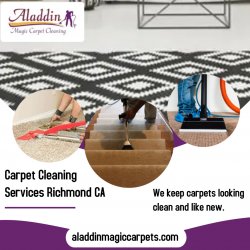 Carpet Cleaning Services Richmond CA Meme Template