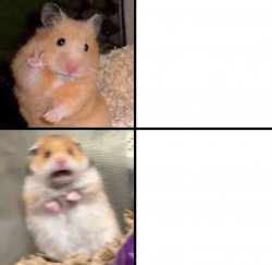 frightened hamster Meme Template