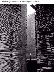 A lumberyard in Seattle Meme Template