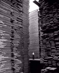 A lumberyard in Seattle Meme Template