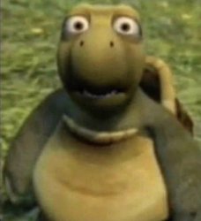 Turtle from over the hedge Meme Template