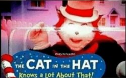 cat in the hat knows alot about that Meme Template