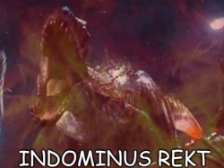 Indomonis Rekt Meme Template