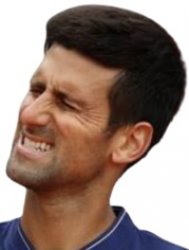 Novak Djokovic Cringe Meme Template