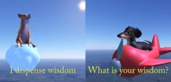 Asking the dog of wisdom Meme Template