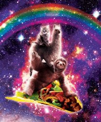 Space cat llama sloth riding a taco Meme Template