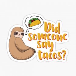 Sloth did someone say tacos Meme Template