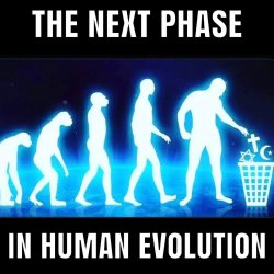 The next phase in human evolution Meme Template