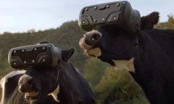 VIRTUAL REALITY CONTENTED COWS Meme Template