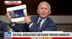 Fauci says to Fire Fauci Meme Template