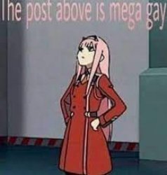 the post above is mega gay ditf Meme Template