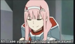 Ah, I see you're a Darling of culture as well Meme Template