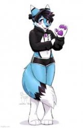 Femboy furry Meme Template