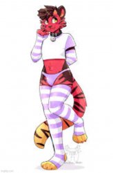 Femboy furry Meme Template