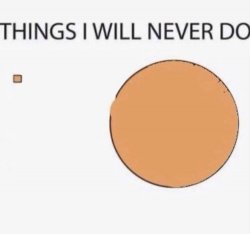 things i will never do Meme Template