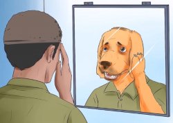 Mirror dog Meme Template