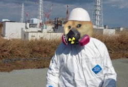fukushima doge Meme Template