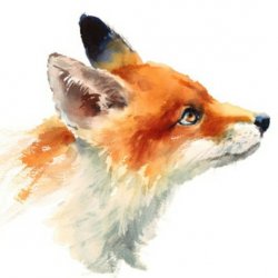 Watercolor fox Meme Template