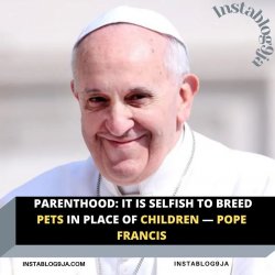 It is selfish to breed pets in place of children - Pope Francis Meme Template