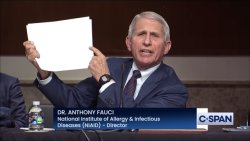 Dr. Fauci It says right here Meme Template
