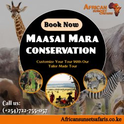 Maasai Mara conservation Meme Template