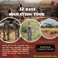 12 Days Migration Tour Meme Template