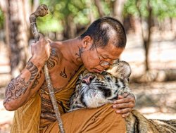 Monk & Tiger Meme Template