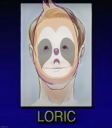 Sloth Loric Meme Template
