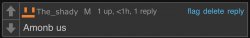 The_shady Amonb us Meme Template