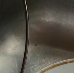 Spider in the Sink Meme Template