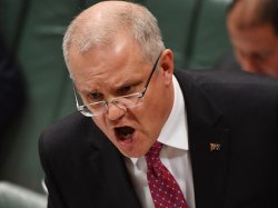 Scott Morrison Angry Meme Template