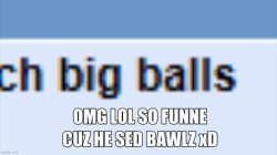 omg lol so funne cuz he sed bawlz xD Meme Template