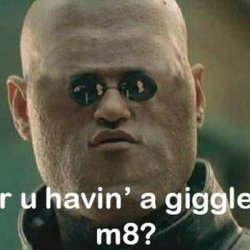 R U Having A Giggle, m8? Meme Template