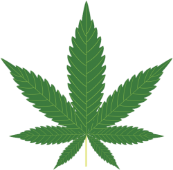 Cannabis Meme Template