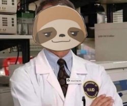 Sloth Dr. Fauci Meme Template