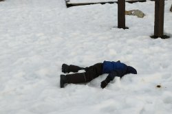 Face down in snow Meme Template