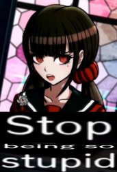 Stop being so stupid Meme Template