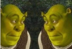 Shrek-Double-look Meme Template